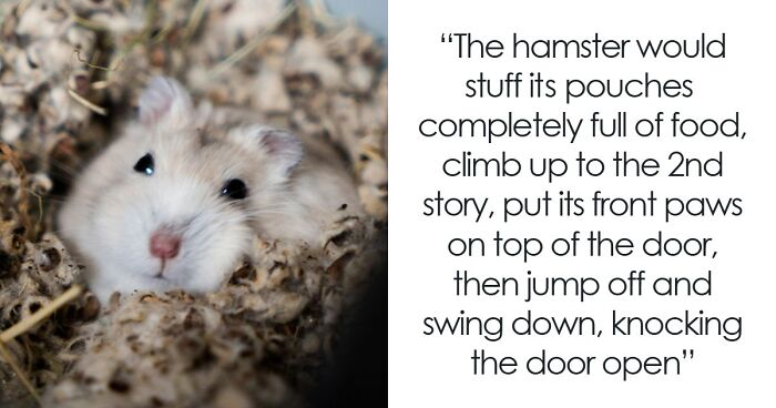 “Makes My Brain Hurt”: 59 People Whose Intelligence Seemed Almost Artificial