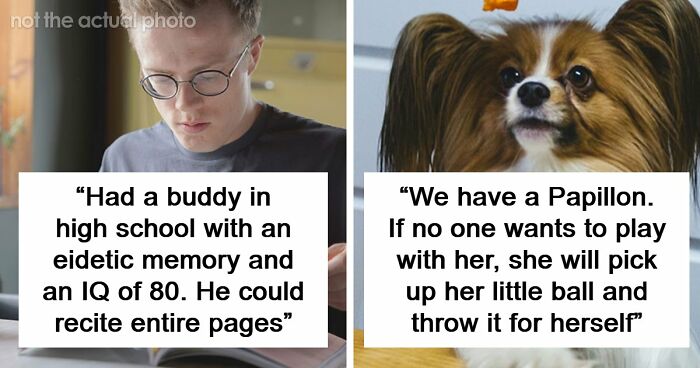 “Makes My Brain Hurt”: 59 People Whose Intelligence Seemed Almost Artificial