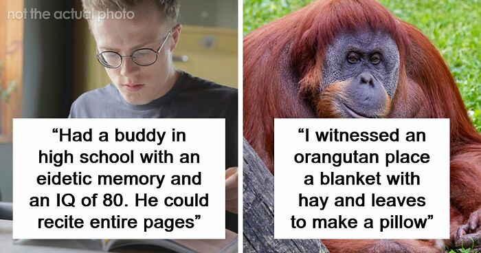 “Makes My Brain Hurt”: 59 People Whose Intelligence Seemed Almost Artificial
