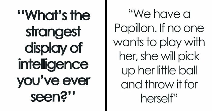 “Makes My Brain Hurt”: 59 People Whose Intelligence Seemed Almost Artificial