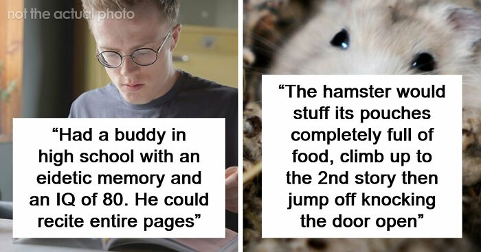 “Makes My Brain Hurt”: 59 People Whose Intelligence Seemed Almost Artificial