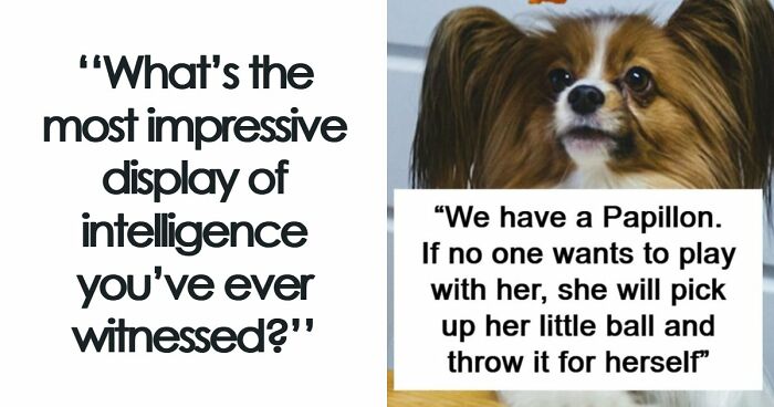 “Makes My Brain Hurt”: 59 People Whose Intelligence Seemed Almost Artificial