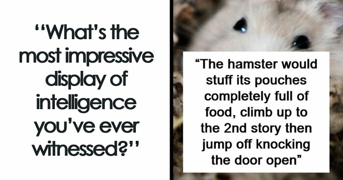 “Makes My Brain Hurt”: 59 People Whose Intelligence Seemed Almost Artificial