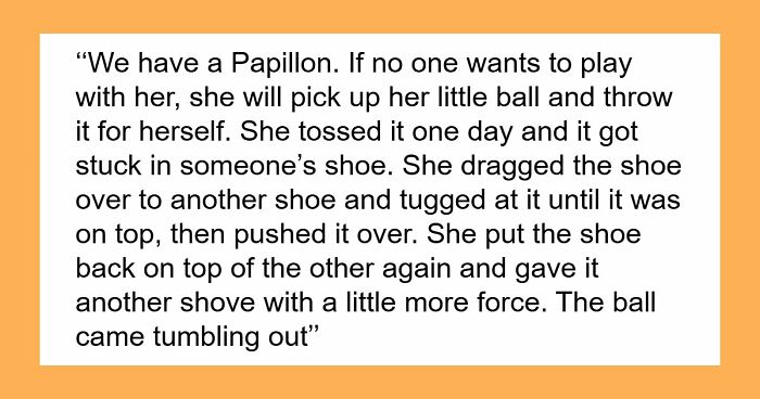 “Makes My Brain Hurt”: 59 People Whose Intelligence Seemed Almost Artificial