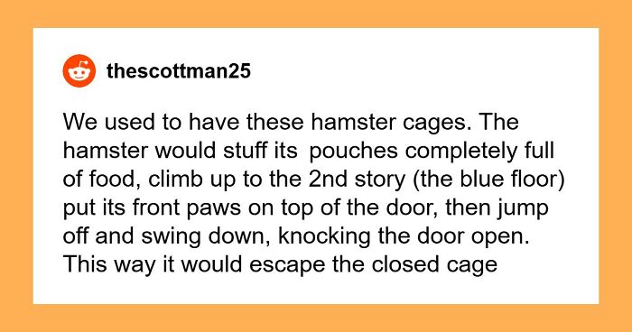 “Makes My Brain Hurt”: 59 People Whose Intelligence Seemed Almost Artificial