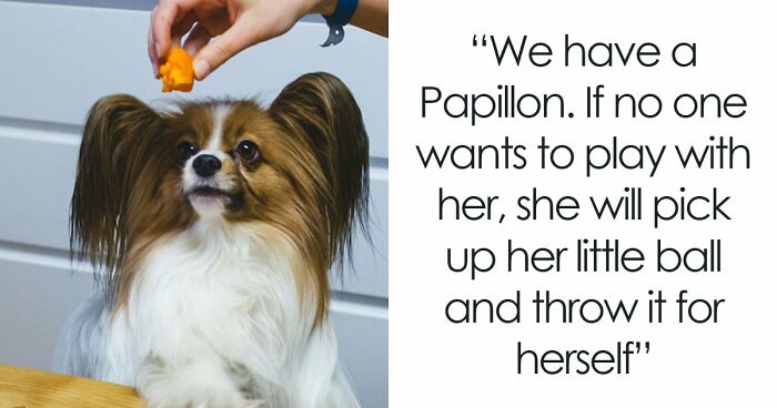 “Makes My Brain Hurt”: 59 People Whose Intelligence Seemed Almost Artificial