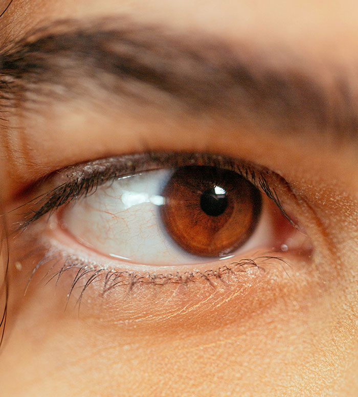 Close-up of a brown eye showing subtle and interesting displays of intelligence in facial expression.