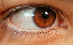 47 Surprising Ways People’s Intelligence Shows Up In Everyday Life