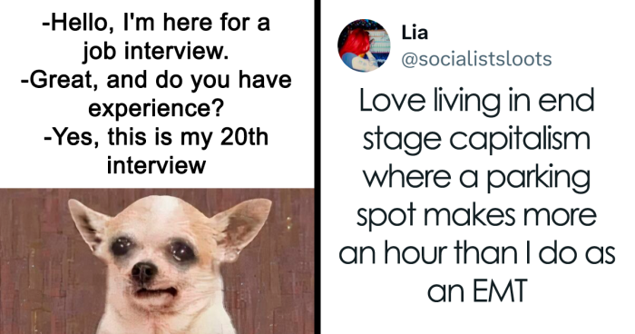 45 Memes About The Job Market That Are As Funny As They Are Painful
