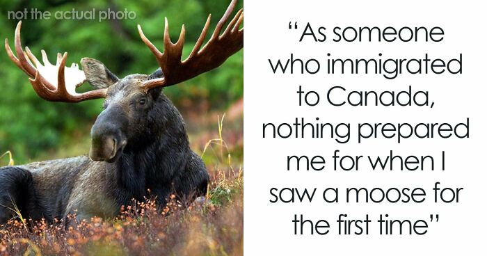 43 Surprisingly Dangerous Things You Shouldn’t Learn About The Hard Way