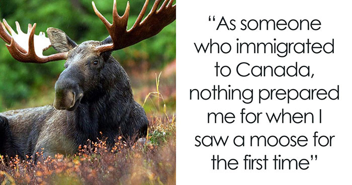 43 Surprisingly Dangerous Things You Shouldn’t Learn About The Hard Way