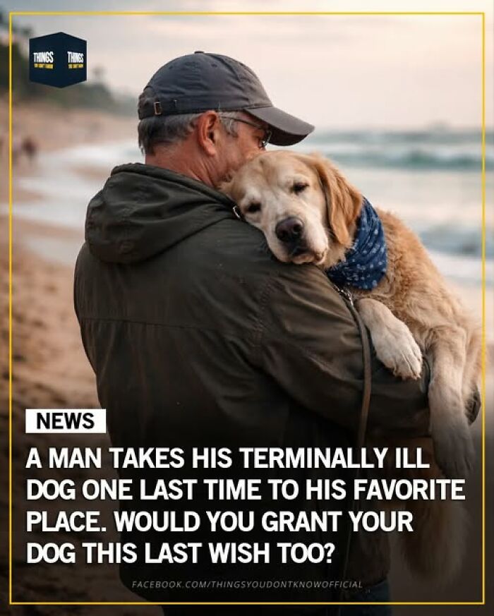 Man hugging his terminally ill dog at the beach, showcasing great, sad, and emotional moments in our world.