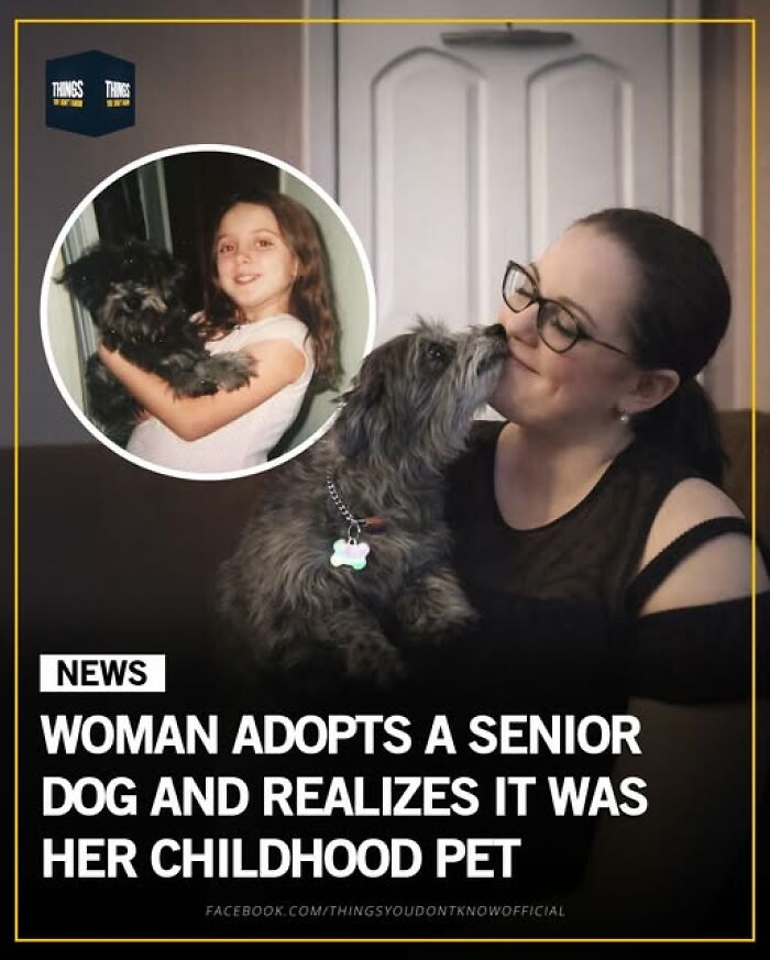 Woman adopting senior dog reconnects with her childhood pet in a heartwarming story showing great and sad moments.