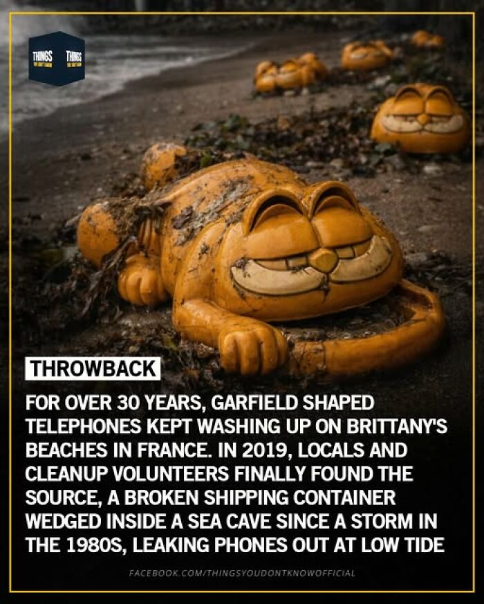 Garfield shaped telephones washing up on Brittany beaches, a weird and sad environmental story from our world.