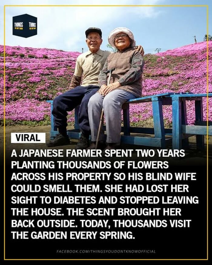 Elderly Japanese couple sitting in a vibrant flower garden, highlighting great and sad moments in our world.