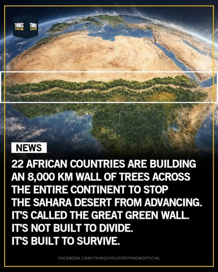 Map of Africa showing the Great Green Wall project, illustrating efforts to stop the Sahara desert advancing with trees.