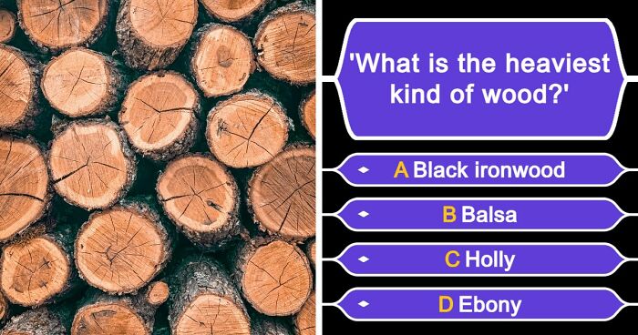 “Could You Impress Thomas Edison?”: Put Your Knowledge To The Ultimate Test And Score Above 15