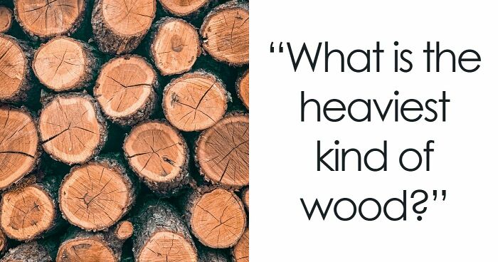 “Could You Impress Thomas Edison?”: Put Your Knowledge To The Ultimate Test And Score Above 15