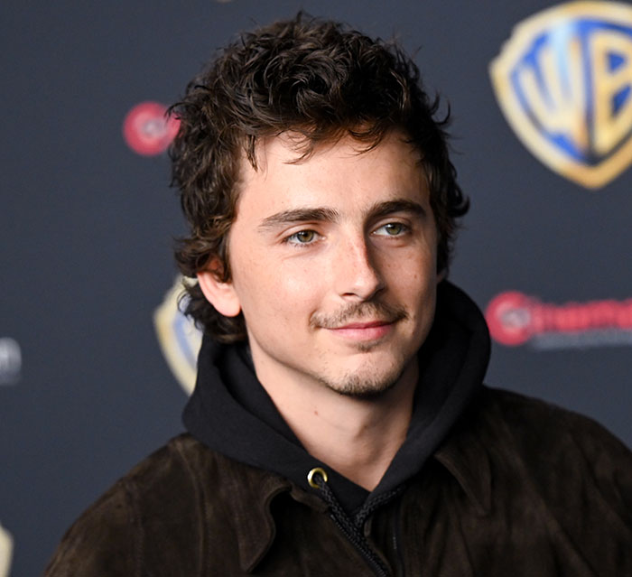 Timothée Chalamet criticado pelos fãs 
