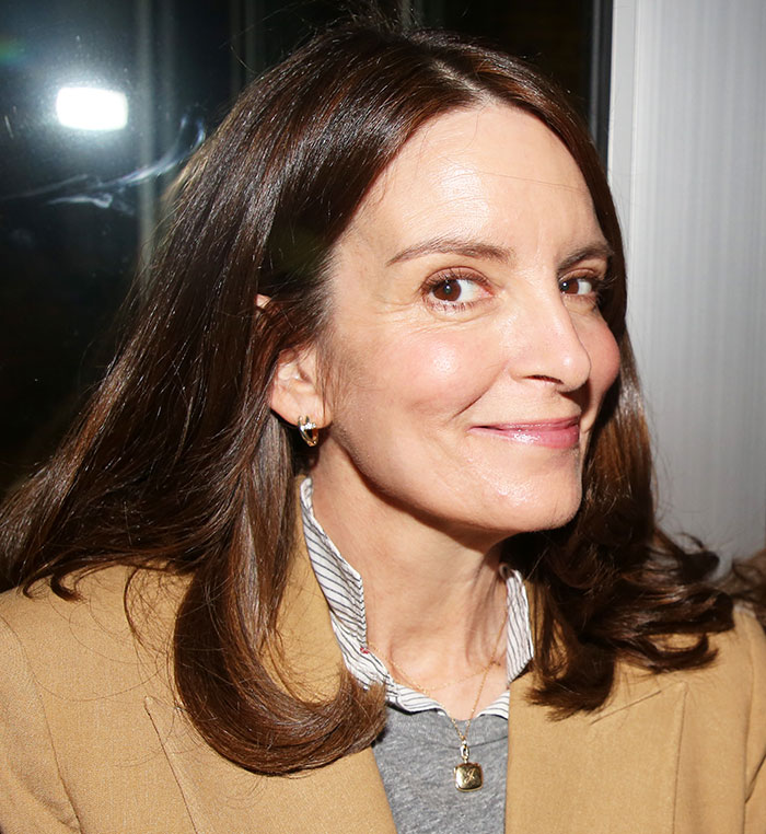 Timothée Chalamet criticado pelos fãs 