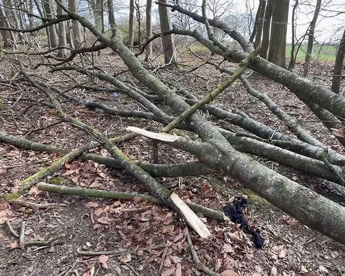 Caça aos ovos de Páscoa se transforma em pesadelo para jovem mãe, bebê e adolescente