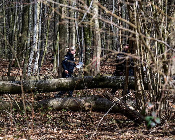 Caça aos ovos de Páscoa se transforma em pesadelo para jovem mãe, bebê e adolescente