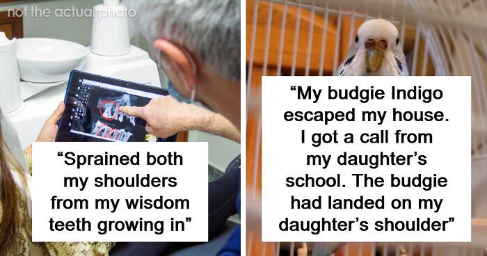 “Still Feels Fake”: 69 People Whose Stories Sound Made Up But Are 100% Real