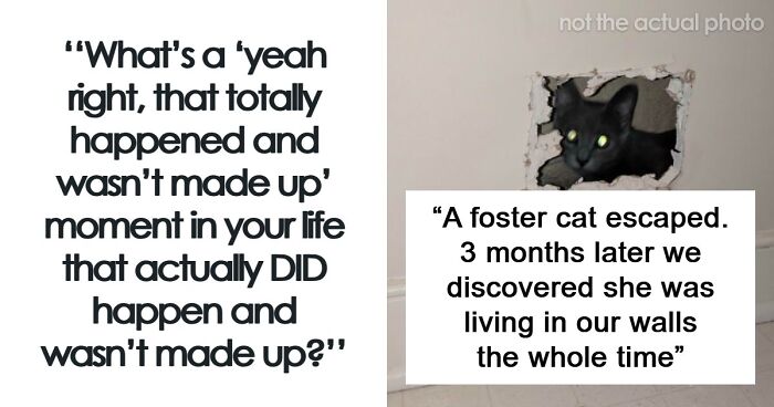 “Still Feels Fake”: 69 People Whose Stories Sound Made Up But Are 100% Real