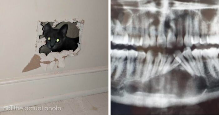 “Still Feels Fake”: 69 People Whose Stories Sound Made Up But Are 100% Real