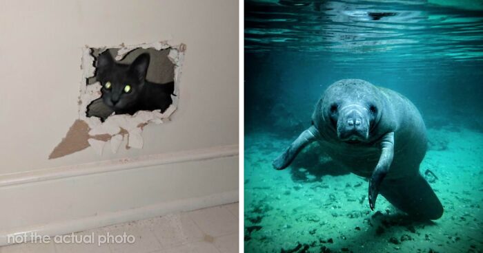 “Still Feels Fake”: 69 People Whose Stories Sound Made Up But Are 100% Real