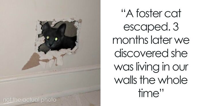 “Still Feels Fake”: 69 People Whose Stories Sound Made Up But Are 100% Real