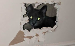 “She Was Living In Our Walls”: 69 Stories That People Can’t Tell Because Nobody Believes Them