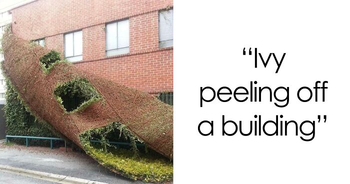 “Decided To Fall Apart Before My Wedding”: 59 Times Things Broke So Badly, It Looked Intentional