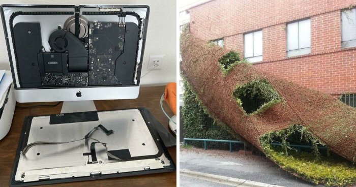 “Decided To Fall Apart Before My Wedding”: 59 Times Things Broke So Badly, It Looked Intentional