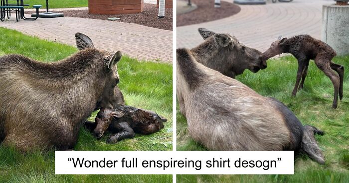 58 Wild And Wholesome Animal Encounters That Took People By Surprise