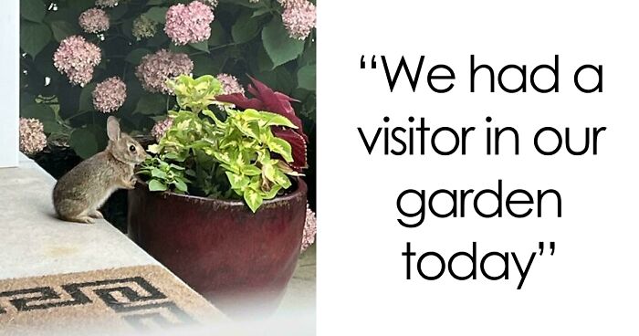 58 Wild And Wholesome Animal Encounters That Took People By Surprise