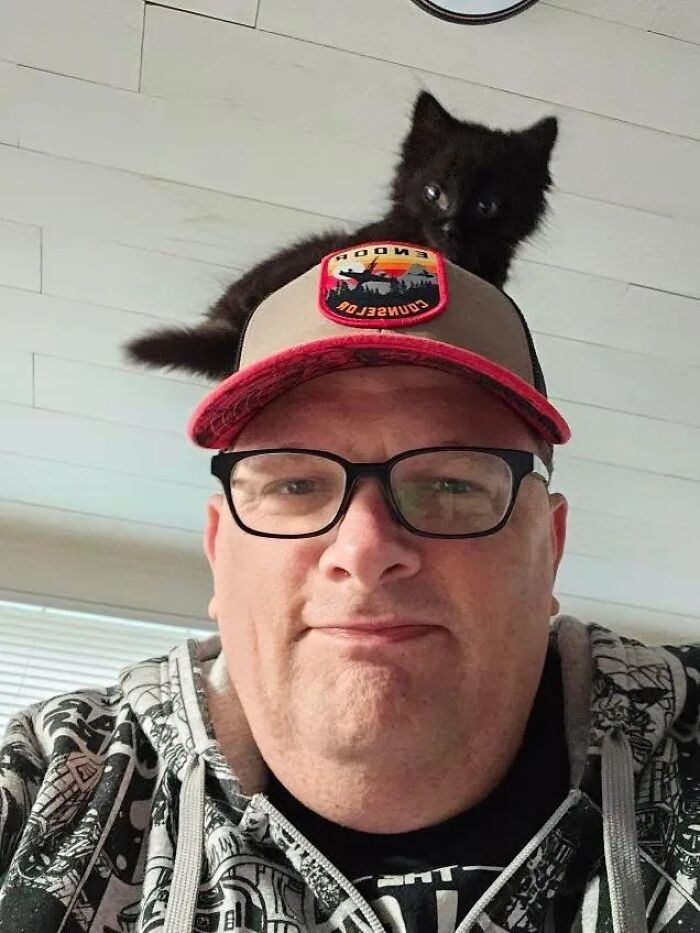 Man wearing glasses and a cap with an unhinged black kitten perched on top causing adorable pet chaos.