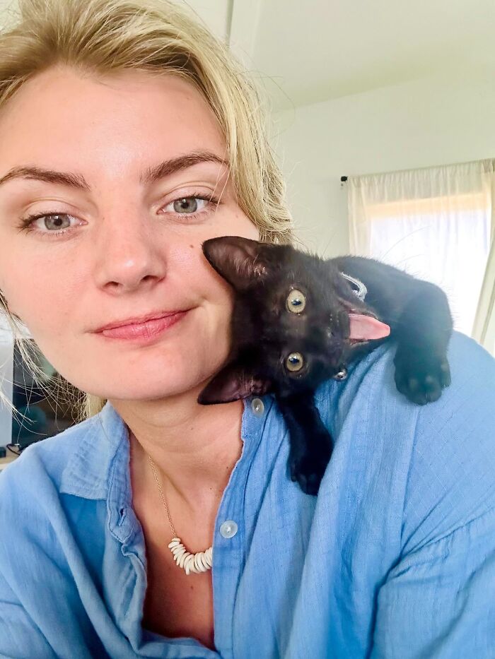 Woman in blue shirt with an unhinged black kitten on her shoulder sticking out tongue, showing adorable chaotic pet behavior.