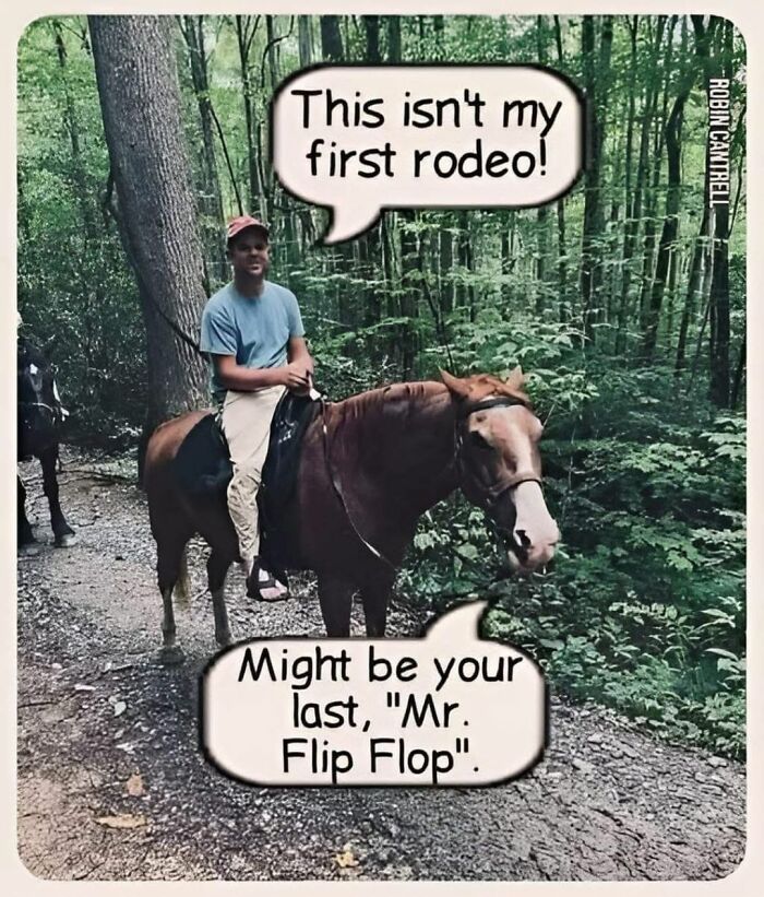 Man on a horse with speech bubbles: "This isn't my first rodeo!" and "Might be your last, Mr. Flip Flop." Unhinged meme.