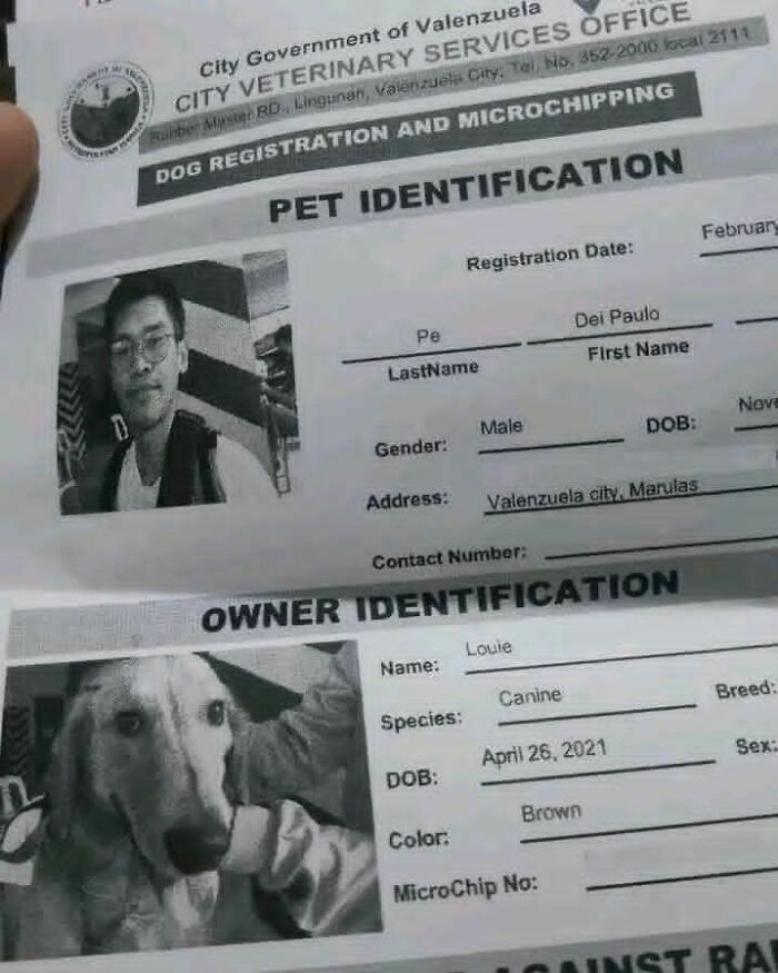 A dog registration and microchipping form, featuring a photo of the owner and a golden retriever, might make your inner goblin laugh.