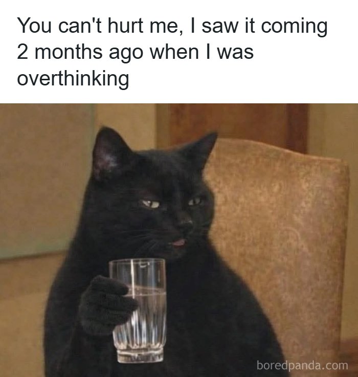 A black cat holding a glass, with text above saying, "You can't hurt me, I saw it coming 2 months ago when I was overthinking." This unhinged meme might make your inner goblin laugh.