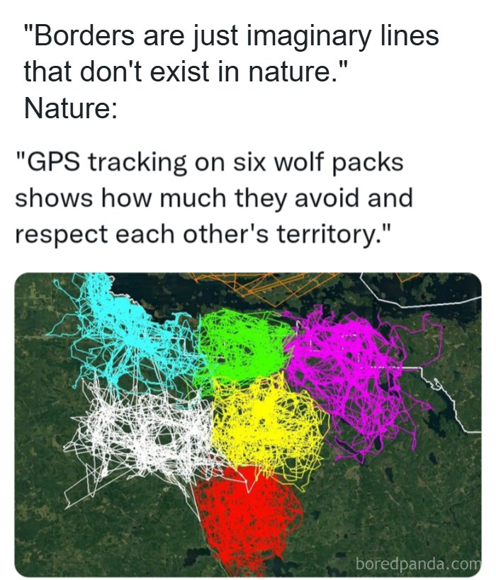A meme showing GPS tracking of six wolf packs, highlighting their distinct territories, an unhinged meme.