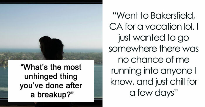 “Heartbreak Made Me Do It”: 35 Deranged Shenanigans People Pulled Off Post-Breakup