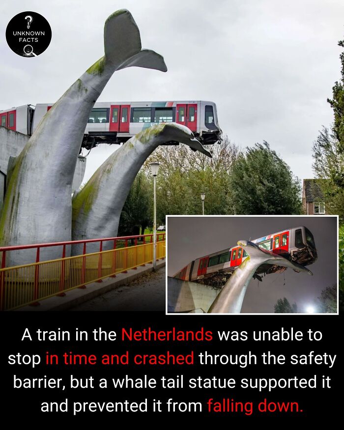 Train resting on a whale tail statue in the Netherlands, an interesting fact of an averted crash.