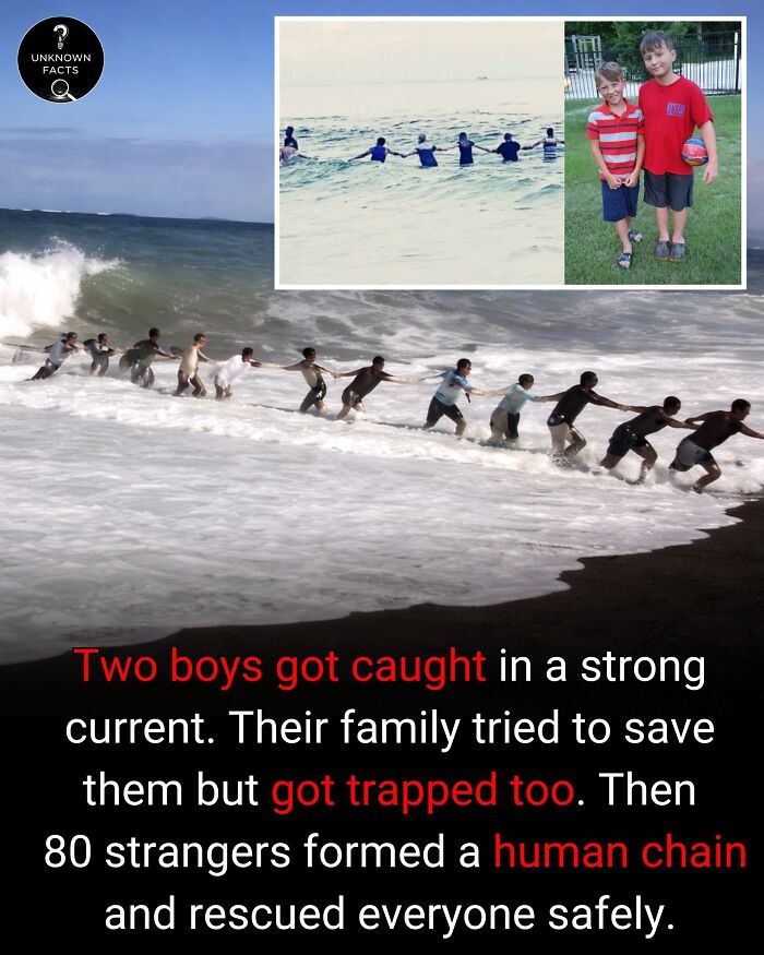 An interesting fact: strangers formed a human chain in the ocean to rescue two boys and their family from a strong current.