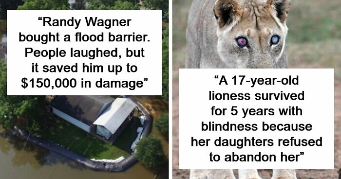 97 Surprisingly Interesting Facts And Stories You Didn’t Know You Needed