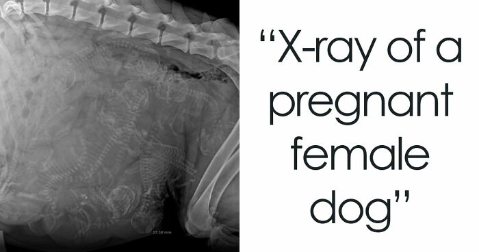 97 Surprisingly Interesting Facts And Stories You Didn’t Know You Needed