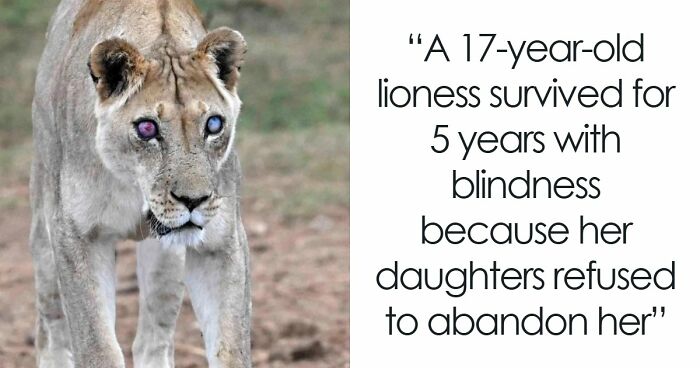 97 Surprisingly Interesting Facts And Stories You Didn’t Know You Needed