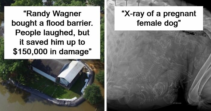 97 Surprisingly Interesting Facts And Stories You Didn’t Know You Needed