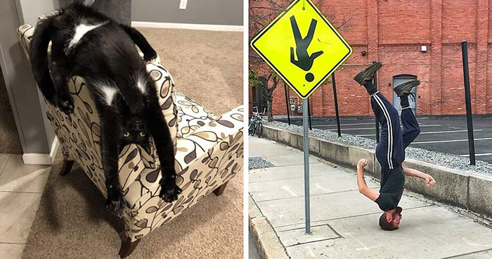 61 Weird Upside-Down Things That Might Make You Want To Fix Them Immediately